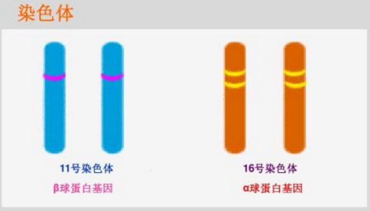 1516690941337842.png blob.png